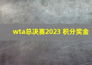 wta总决赛2023 积分奖金